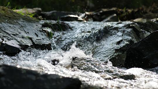 小溪  水流  溪流  大自然  山泉水