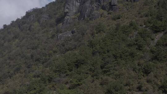 括苍山森林云海风光高山