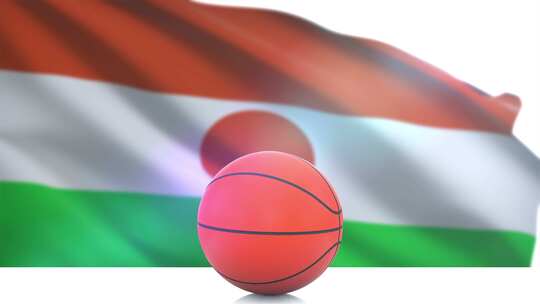 尼日尔国旗篮球