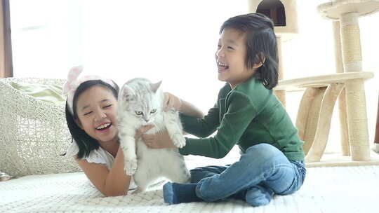 可爱的儿童玩短毛猫