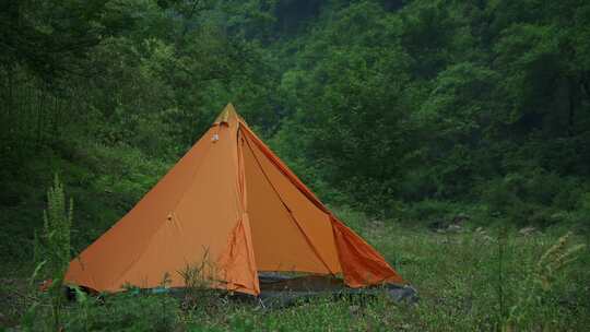 合集 户外森林露营帐篷氛围视频