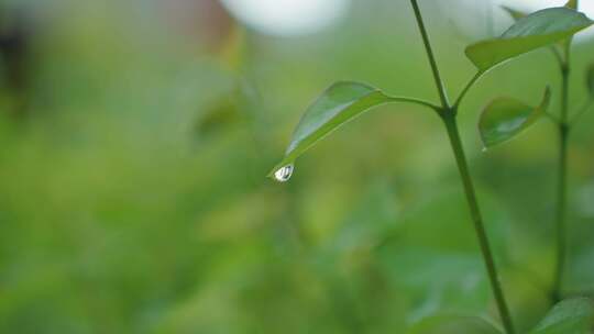 雨过天晴