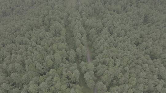 在大山里骑摩托