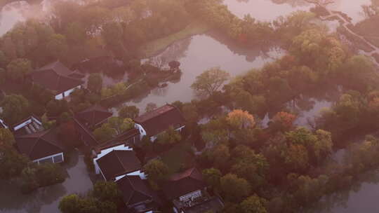 丁达尔光 西溪湿地 江南园林 晨光晨雾