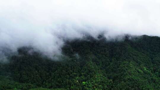 航拍原始森林云雾缭绕延时摄影视频素材模板下载