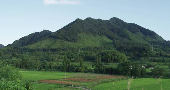 田园风光美丽乡村