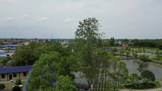 旅游景区湖南城头山古文化遗址4A景区航拍