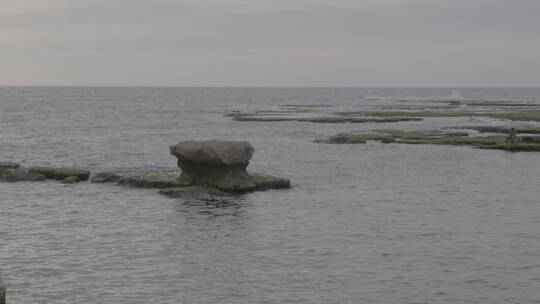 黎巴嫩的海