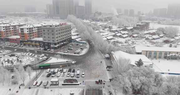 冰雪覆盖树木的冬季雪景航拍画面