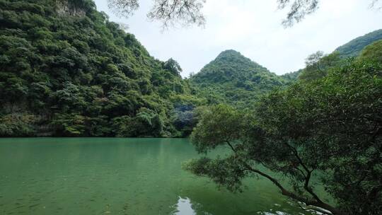 广西柳州龙潭公园池塘边树荫