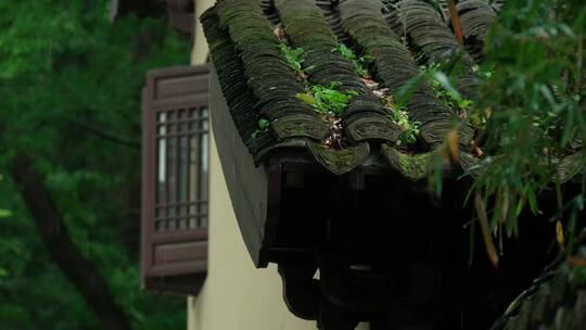 126 杭州 寺庙 古建筑 下雨天 屋檐 窗户视频素材模板下载