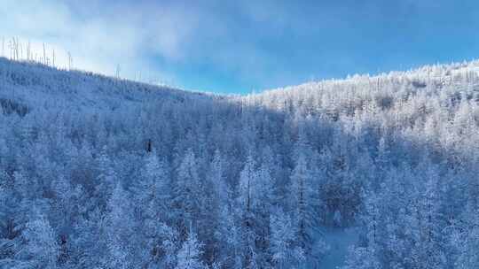 东北林海雪原风光航拍合集