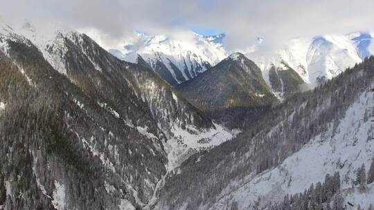 3919_飞过雪山