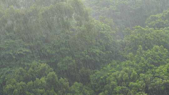 树林下雨森林暴雨俯拍树林下雨天森林暴风雨