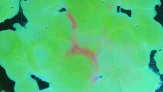 显微镜下的生物细胞视频素材模板下载
