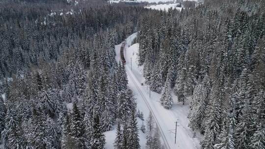 航拍火车穿过大雪后的森林视频素材模板下载