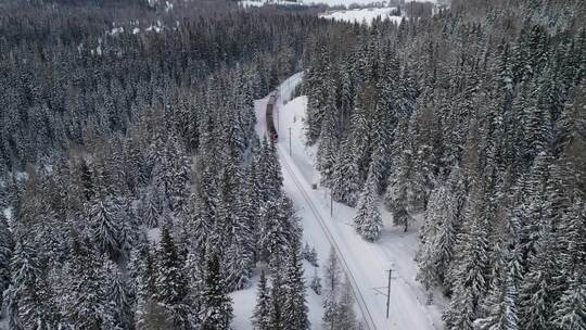 航拍火车穿过大雪后的森林