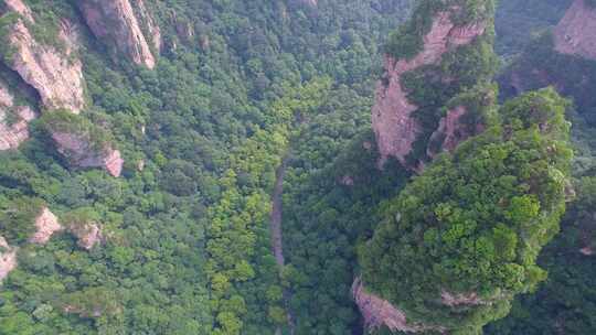 航拍张家界国家森林公园武陵源阿凡达山视频素材模板下载