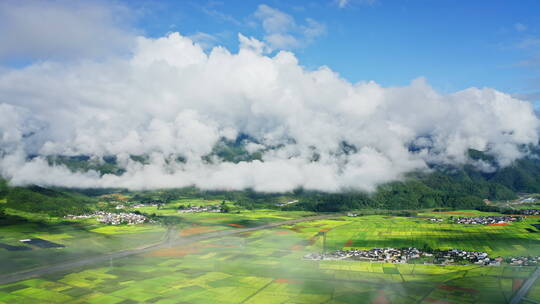 雨后云雾缭绕 唯美阳光 绿色稻田