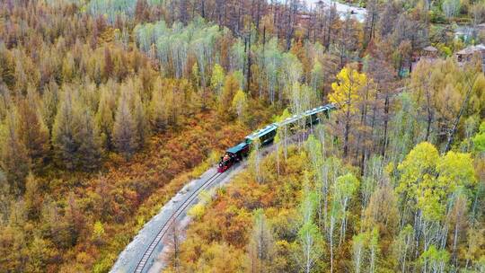 森林观光小火车