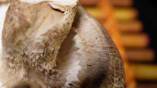 鲜香菇蘑菇菌菇食用菌