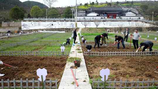 劳动空镜刨土锄地农场工人耕作劳作翻土