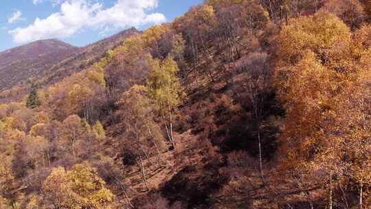 航拍互助北山秋景