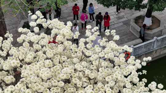 中国广东省广州市番禺区南村镇余荫山房