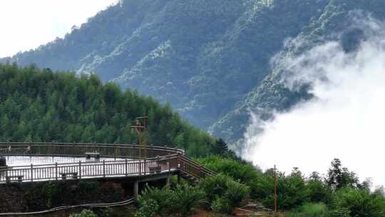 平塘马安竹海航拍