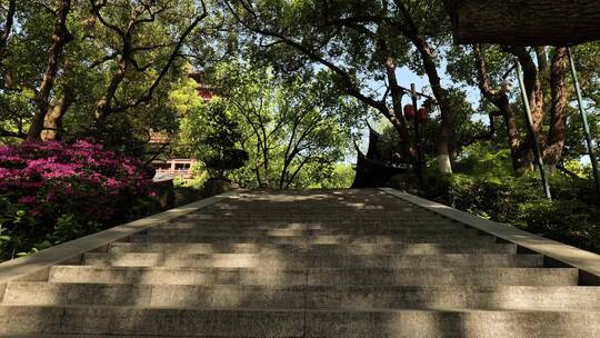 杭州西湖城隍阁自然景观