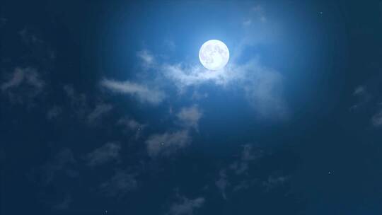 深夜皎洁的月光在树林树梢间视频素材模板下载