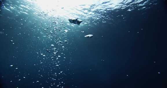 海底世界-水泡上升-仰拍海面