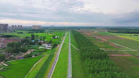 潜江东荆河大堤防汛堤坝