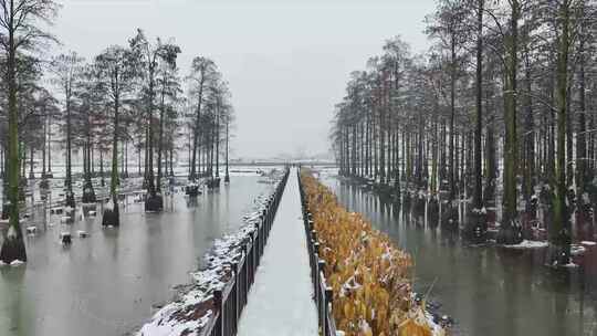 涨渡湖雪景行走