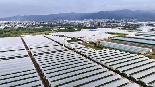 蔬菜水果大棚种植基地航拍农业种植航拍