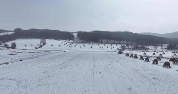 雪地田野景观