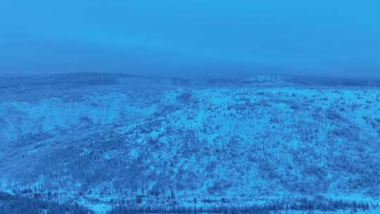 小寒时节的大兴安岭雪景雾凇雪松银装素裹