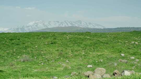 绿色的田野和雪山