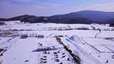 航拍东北黑龙江漠河屋舍马车雪景美丽风光高清在线视频素材下载