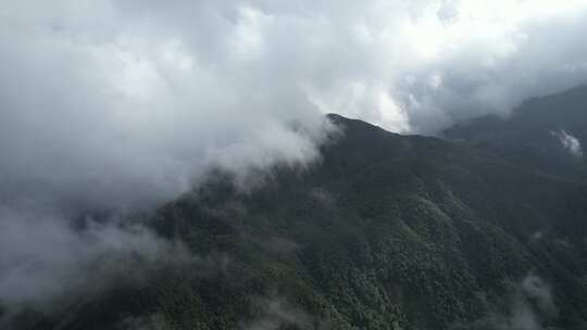 信宜钱排鹿湖顶航拍，高山，森林大山