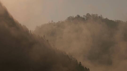早晨云雾缭绕的山林
