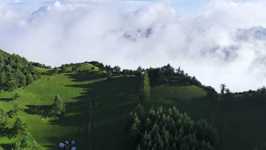 航拍高山森林云海云雾