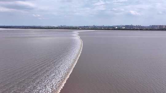 浙江杭州钱塘江潮水江东大桥潮水