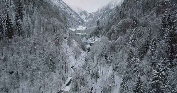 雪，树，克拉姆湖，雪