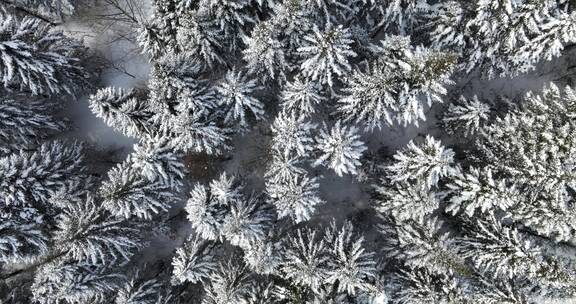 中国雪乡亚雪公路