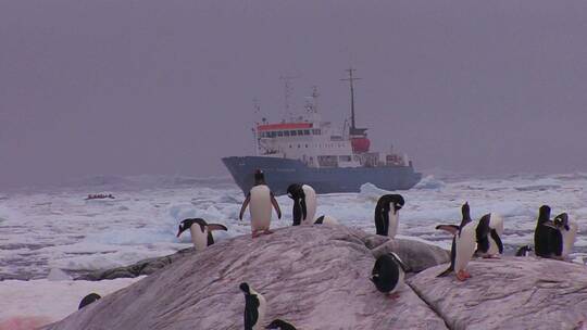 一艘海洋研究船漂浮在南极洲的冰山中