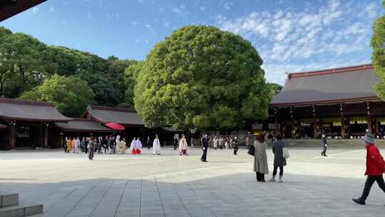 阳光明媚的日本神社