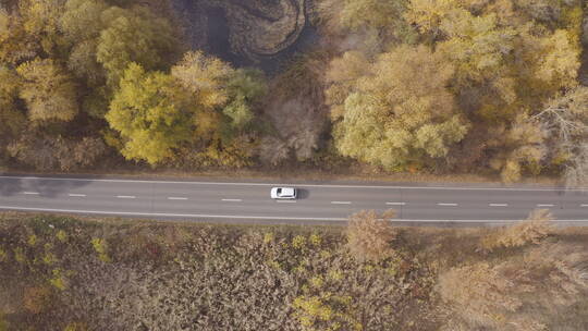 航拍秋天道路上的汽车