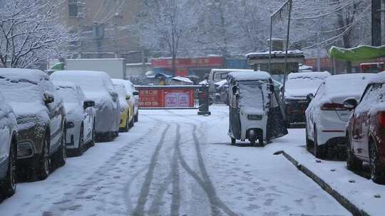 雪景飘雪鹅毛大雪视频素材模板下载