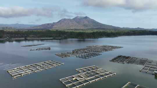 印尼巴厘岛巴图尔火山湖养殖业航拍自然风光